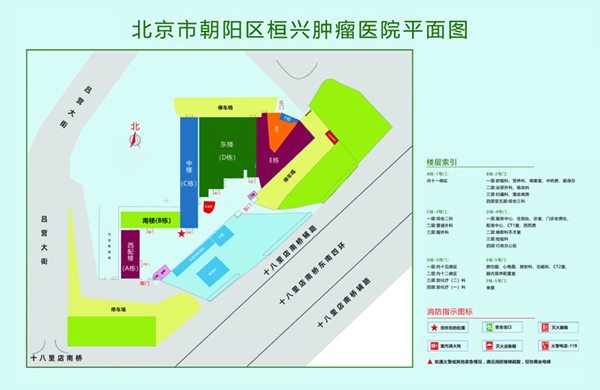 日本人肏人免费视频在线观看北京市朝阳区桓兴肿瘤医院平面图